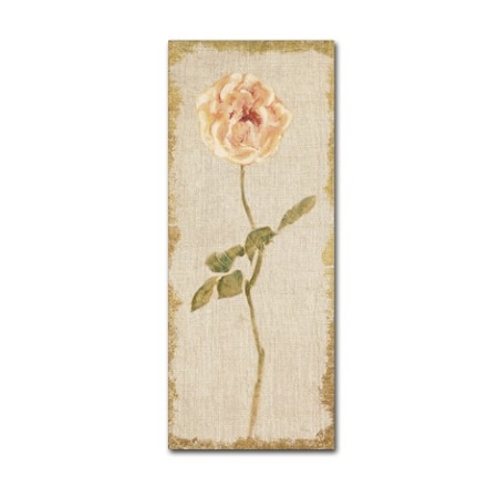 Trademark Fine Art Cheri Blum 'Pale Rose Panel on White Vintage v2' Canvas Art, 8x19 WAP02382-C819GG